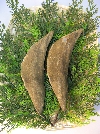 枯割サバ節.jpg